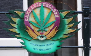 Sjukförsäkring För Cannabisolja